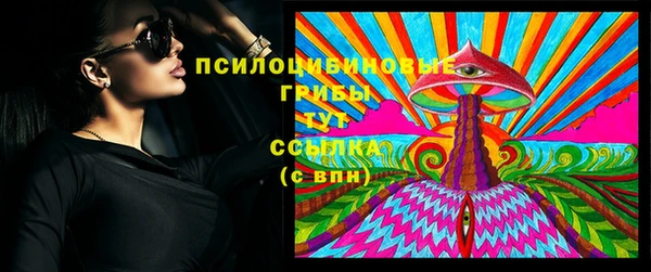 амф Алексин