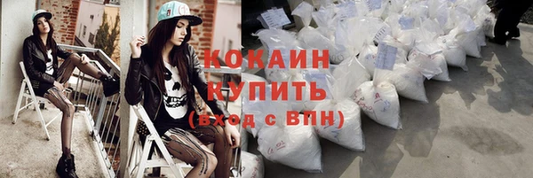 амф Алексин
